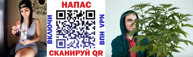 Наркошоп Котельнич Бошки Шишки  COCAIN  ГАШ  АМФЕТАМИН  Меф мяу мяу 
