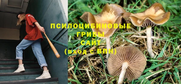 амфетамин Новодвинск