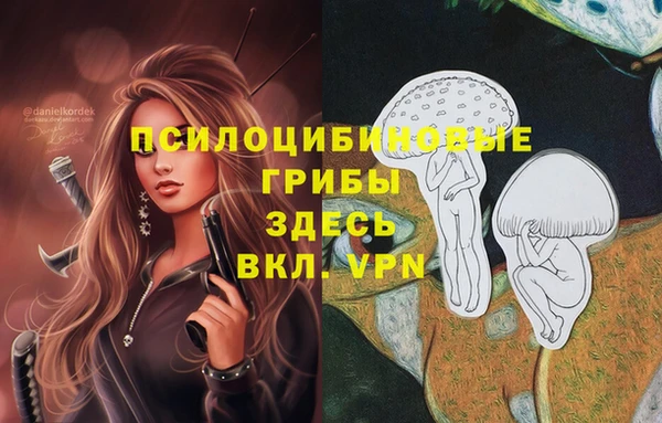мет Абинск