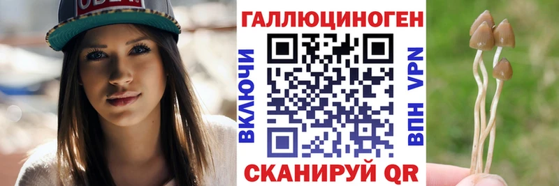 как найти закладки  Котельнич  Галлюциногенные грибы Cubensis 